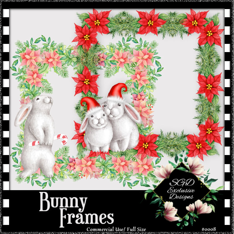 (image for) SGD Exclusive_Bunny Frames CU #0008