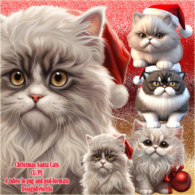 (image for) ChristmasSantaCats