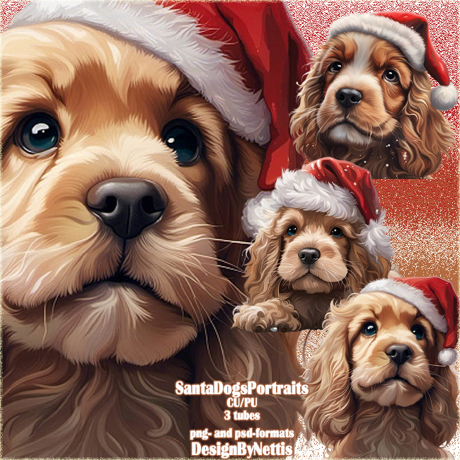 (image for) ChristmasSantaDogsPortrais