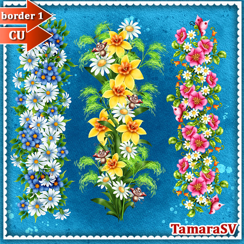 (image for) Tamara_CU_border_1