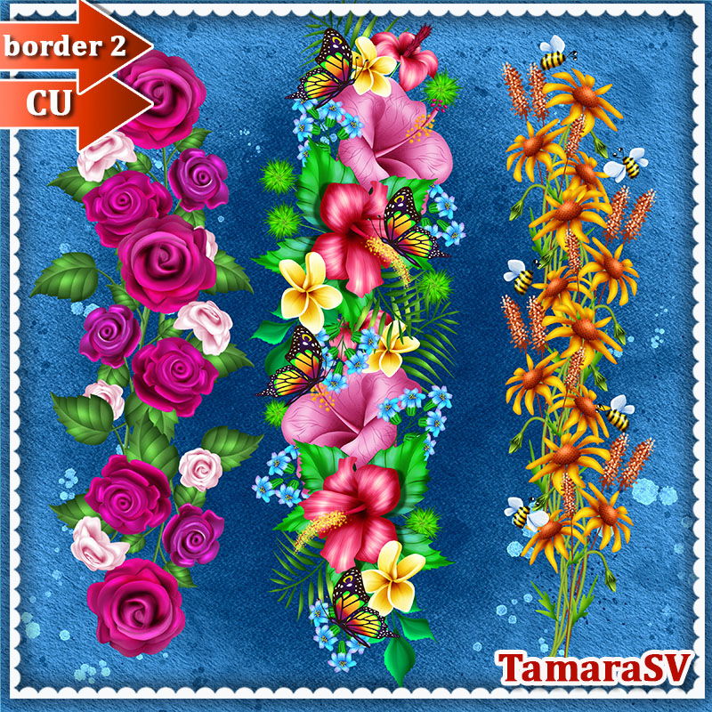 (image for) Tamara_CU_border_2