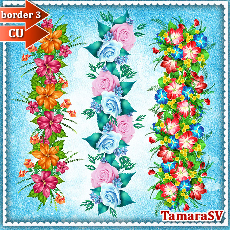 (image for) Tamara_CU_border_3