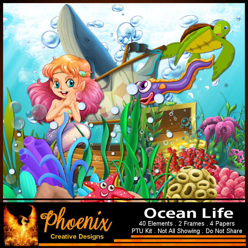 (image for) Ocean Life