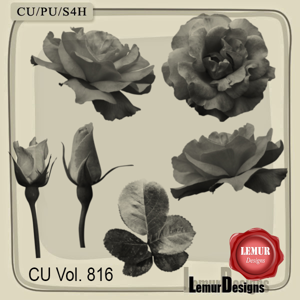 (image for) CU Vol. 816 Floral Brushes